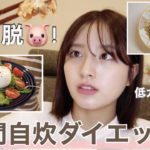 【簡単節約】グラドルの一週間ダイエットご飯！普段これ食べて生活してます💗