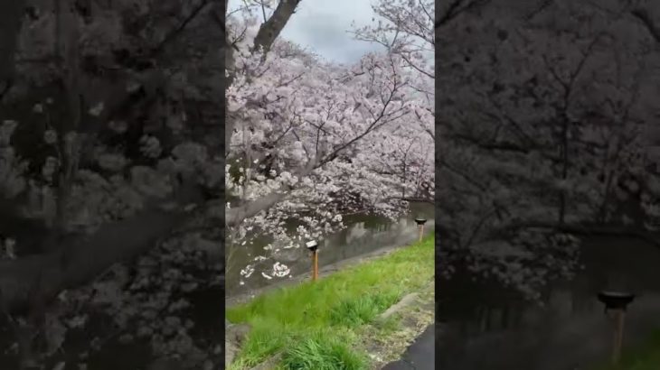 土浦市　つくば市　茨城県　トータルビューティサロン