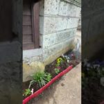 土浦　つくば　エステ　トータルビューティ