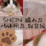 【vlog】SHEIN購入品/雑貨/ペット用品【購入品紹介】