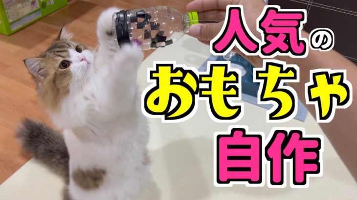 【猫おもちゃ自作 #1】ダイエットに有効な人気のおもちゃを自作してみた結果・・・