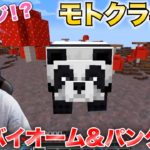 【モトクラ#10】パンダを探してたらマイクラで一番珍しい島を発見しました！！