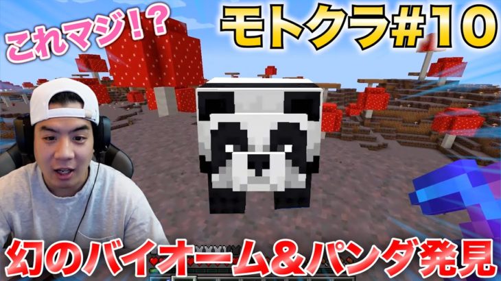 【モトクラ#10】パンダを探してたらマイクラで一番珍しい島を発見しました！！
