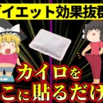 【ダイエット】1枚10円のカイロを○○に貼るだけで基礎代謝１２%も上がり,体脂肪が激減…