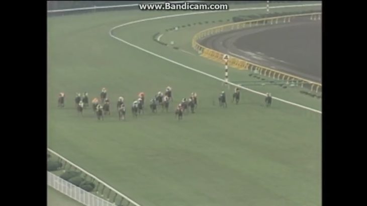 1987 オークス　マックスビューティ