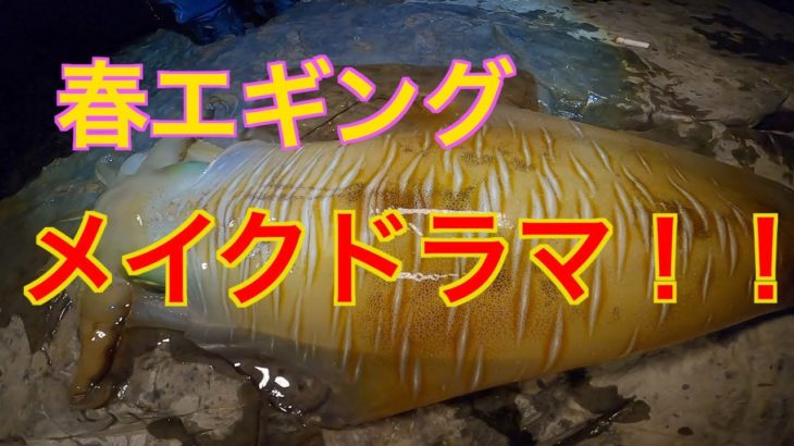 『釣れもていこらchコラボ企画』春エギングにメイクドラマ！！南紀の磯から春イカを狙う！（ダイジェスト動画）