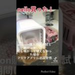 ビビリな犬でもペットドライルームを使えるのか？チャレンジ！#shorts