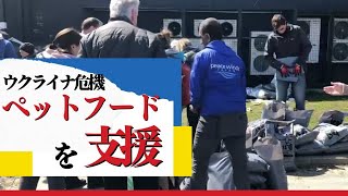 【ウクライナ危機】チェルニヒウでペットフードを支援