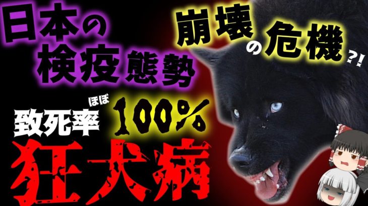 【狂犬病】避難民ペットに特例措置適用！日本で再流行する可能性は？【ゆっくり解説】