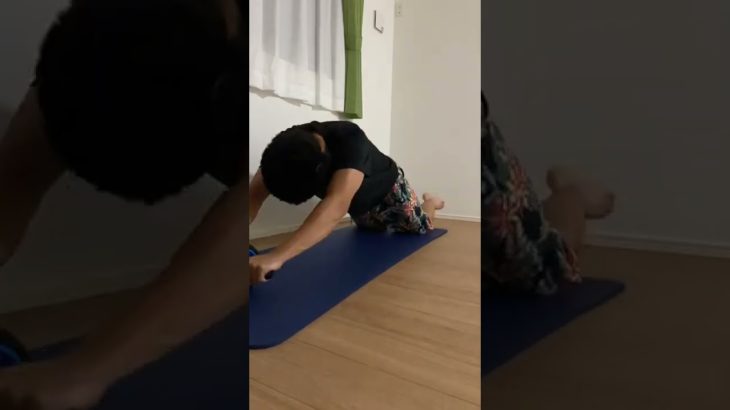 【22日目】腹筋ローラーチャレンジ！#shorts #ダイエット #腹筋ローラー #くびれ作り