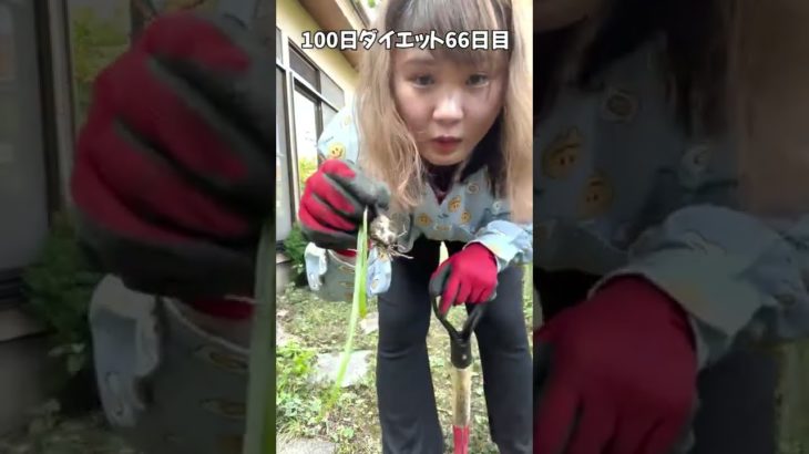 80kgデブ 庭開拓のために今日も草むしり【ダイエット66日目】#shorts