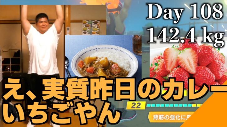 【DAY108】復活の三段腹論法、リングフィットアドベンチャーダイエット配信【デブの配信切り抜き】