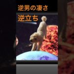 フィッシャーズリスペクト 逆立ちするトイプー逆男？