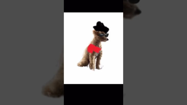 フィッシャーズリスペクト  右左どっち？