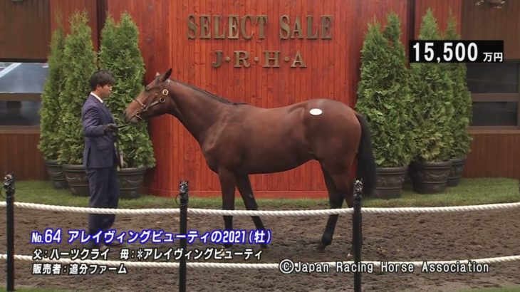 【セレクトセール】アレイヴィングビューティの2021