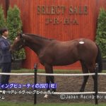 セレクトセール2022-No.64-アレイヴィングビューティの2021(父ハーツクライ)