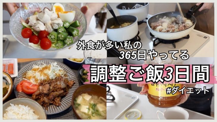 【ダイエット】外食が多い私がやってるお家での調整ご飯3日間
