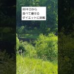 80キロからダイエットに挑戦した結果