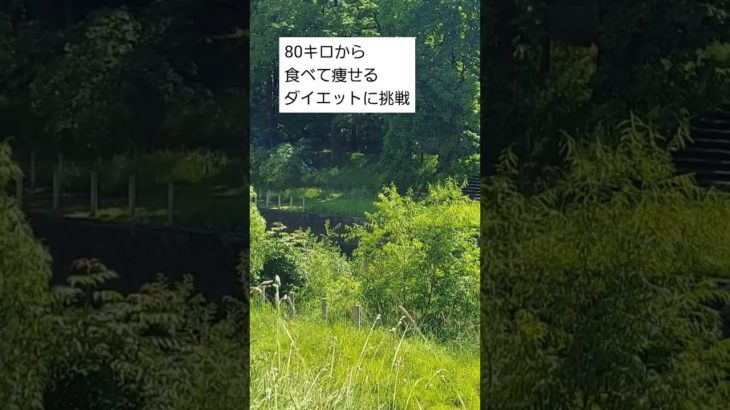 80キロからダイエットに挑戦した結果