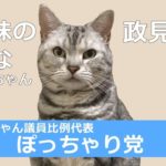 【政見放送】にゃん議員選挙　猫姉妹あんなちゃん！おしゃべりペット