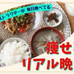【ダイエット】瘦せる！リアル晩ご飯