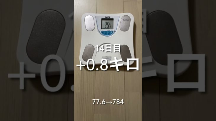 ダイエット14日目