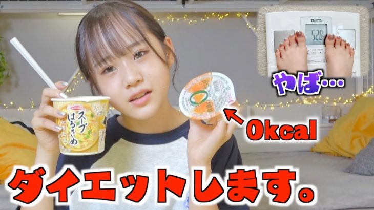 夏休み太りしたのでダイエットします。