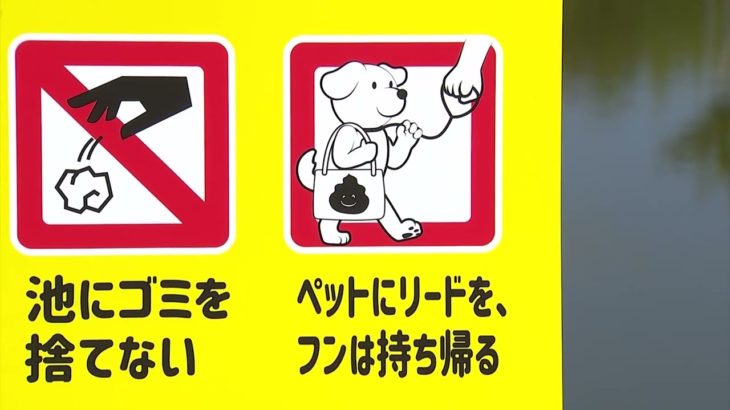 「リードをつけてフンの後始末をして」ペットの散歩を禁止していた岡山県総合グラウンドで試験的に解禁も