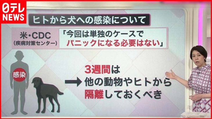 【解説】サル痘“人から犬に感染”初確認  ペットとの接し方・注意点は？