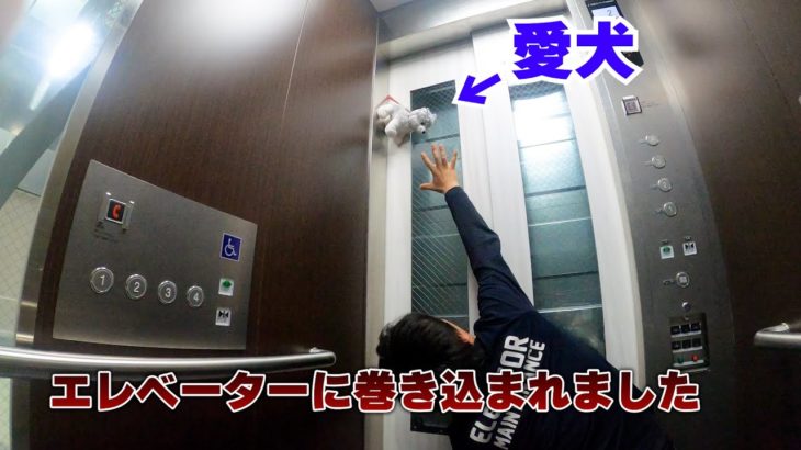 【衝撃映像】大変な事になりました！　ペットを連れてエレベーターに乗る方は気をつけて。