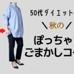 50代ダイエット中。秋のぽっちゃりごまかしコーデ