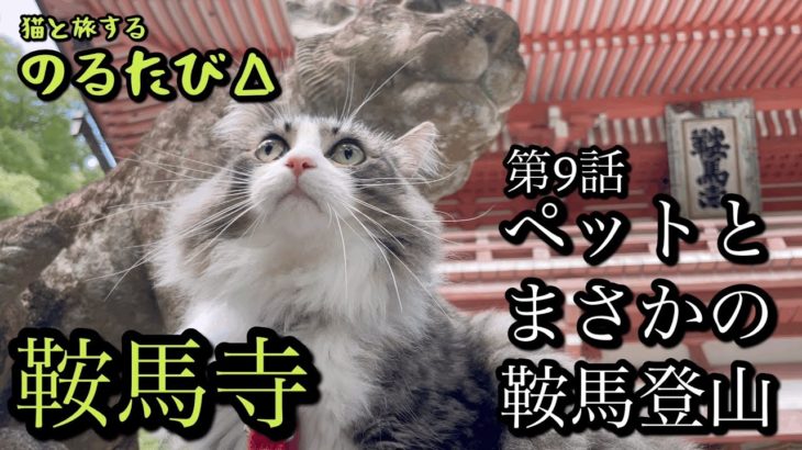 のるたび△第9話「ペットとまさかの鞍馬登山」