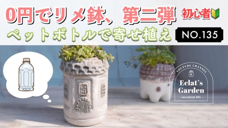 NO.135【多肉植物】【0円リメ鉢】ペットボトルでリメ鉢、今度こそ簡単にできる！