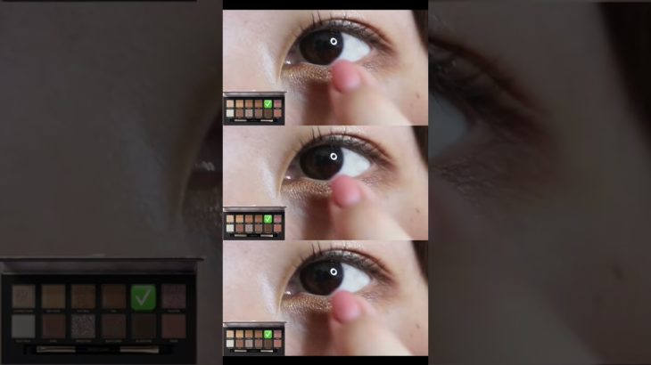 【PERFECT DIARY / パーフェクトダイアリー】クールだけど可愛い猫目に！ブラウンメイク🍫🟤 #shorts
