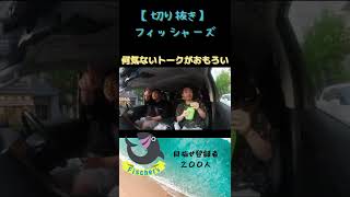 フィッシャーズはトークがおもろい#フィッシャーズ #fischers #shorts