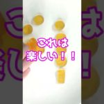 フィッシャーズさんの作った「お金グミ」いくら入ってるかな？#shorts