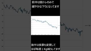 過去ダイエット結果は別動画に紛れさせてたので、独立させてアップします