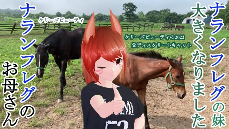 ナランフレグのお母さんケリーズビューティとナランフレグの妹の近況