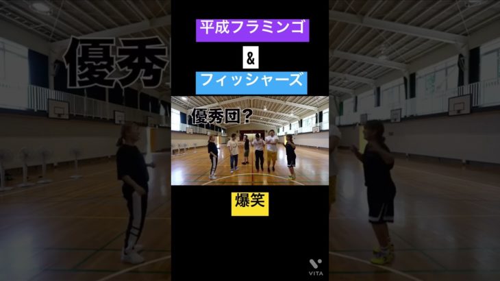 平成フラミンゴフィッシャーズコラボ