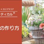 【寄せ植えの作り方】初心者さんから挑戦できるビューティカルの寄せ植えの作り方