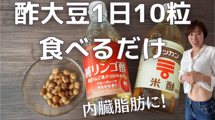 【内臓脂肪撃退】お酢のダイエット効果がスゴイ！りんご酢で楽やせ「脂肪燃焼できる酢大豆」