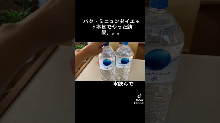 パクミニョンダイエット３日間の結果