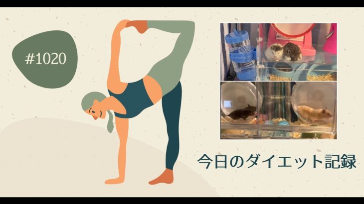 10月20日ダイエット日記