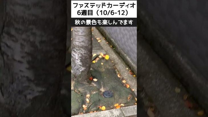 【ダイエットチャレンジ】空腹時有酸素で脂肪燃焼10/6-10/12（6週目）