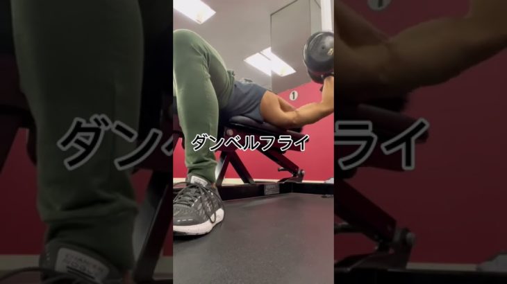 【大会まで残り25日🔥】#筋トレ #減量 #ダイエット #大会までの道のり #サマスタ #筋肉祭