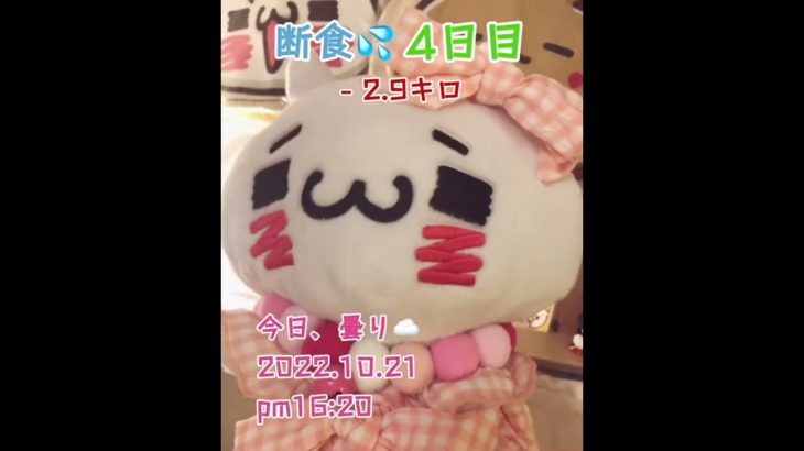 【4日目ダイエット】 57.4キロが14日間水、コーヒー、お茶断食たら何キロ痩せるのか？#shorts #ダイエット #断食