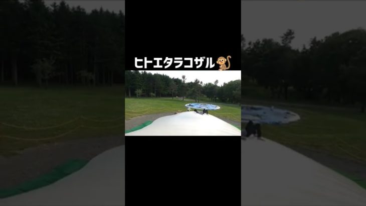 【Fischer’s 切り抜き】必要なものは○○○○？？#フィッシャーズ #切り抜き #shorts