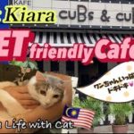 【Malaysia Mont Kiara】日本人に人気の街！ペットフレンドリーカフェに行ったら犬に大歓迎された猫 〜森猫おはぎの遊雅な日常〜 #猫と海外移住 #MalaysiaCafe #モントキアラ