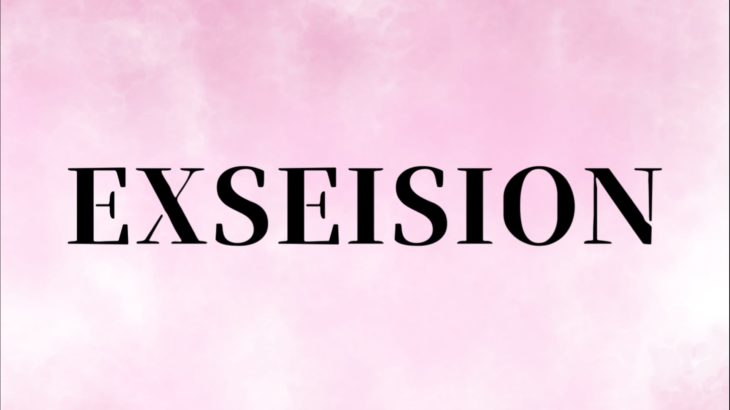 select shop   EXSEISION  レディースアパレルブランド