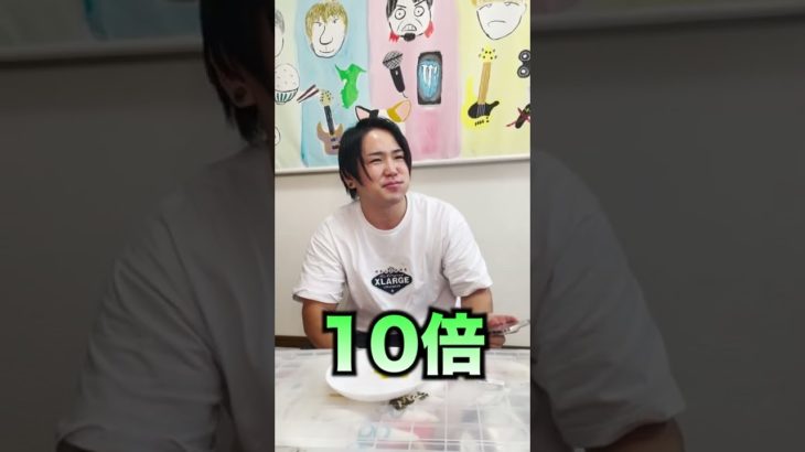 【フィッシャーズ】お金グミで出た金額を地方競馬の単勝に突っ込んだらいくらになるの！？にっち編 #shorts